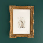 "Dust Bunny" – 5 x 7" Fine Art Print
