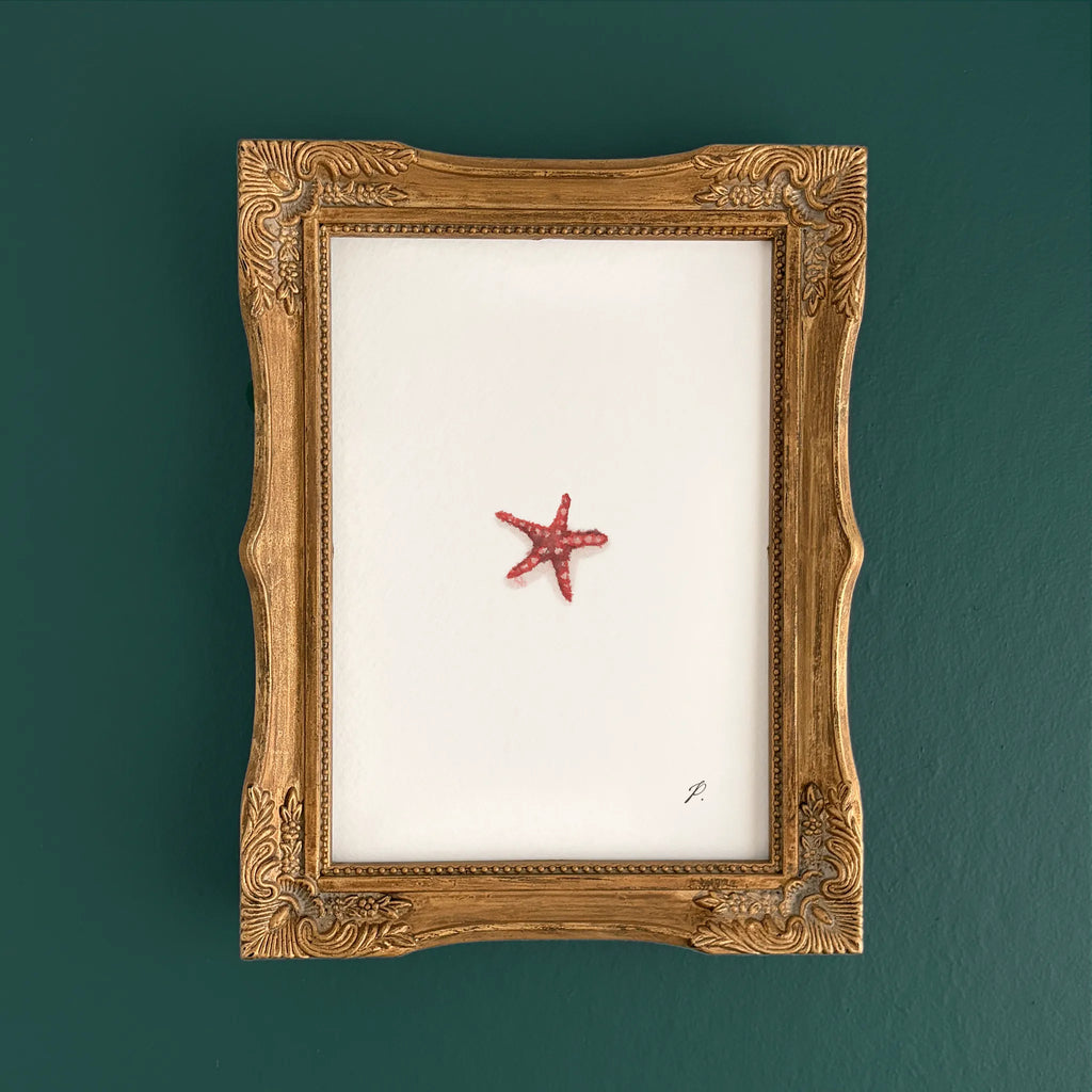 "Zesty (Orange)" – 5 x 7" Fine Art Print