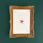 "Zesty (Orange)" – 5 x 7" Fine Art Print