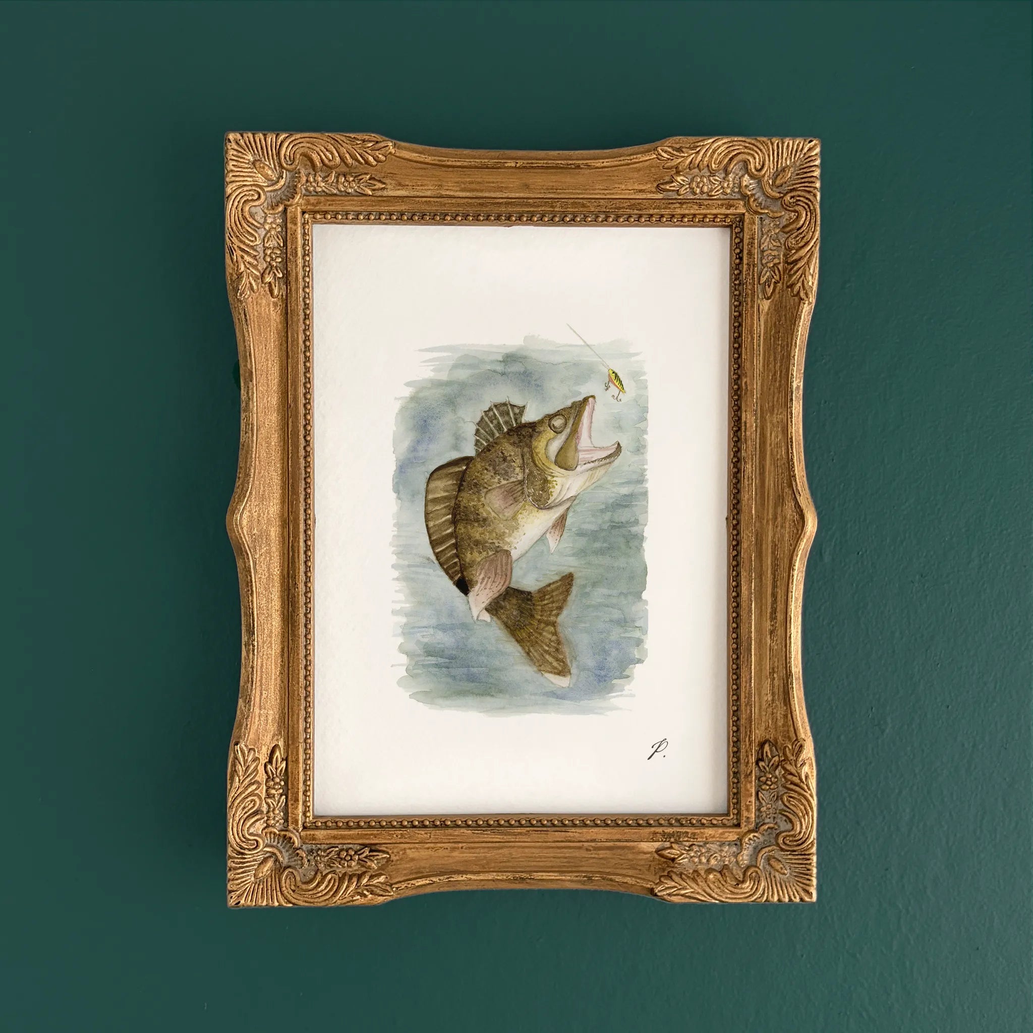 "Walleye" – 5 x 7" Fine Art Print