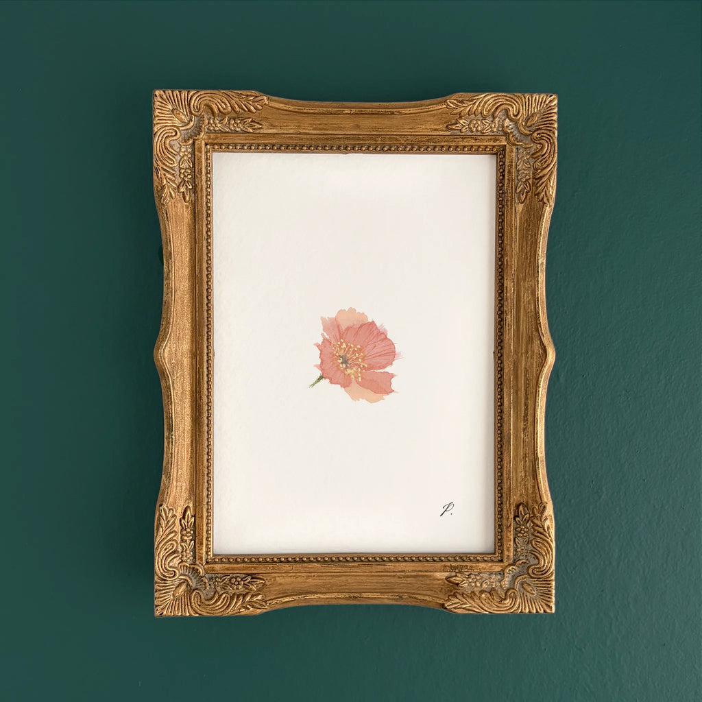 "Phoebe (Poppy)" – 5 x 7" Fine Art Print