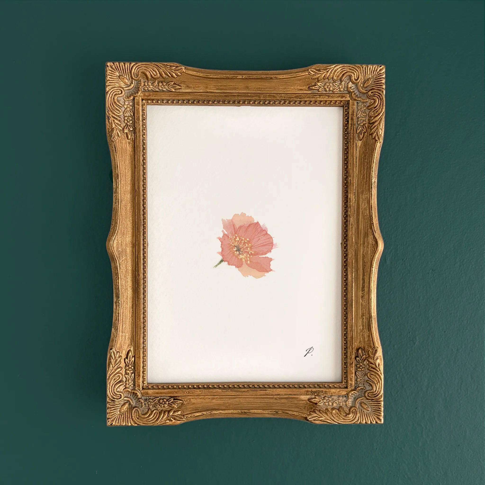 "Phoebe (Poppy)" – 5 x 7" Fine Art Print