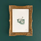 "Swan (Prospect Park)" – 5 x 7" Fine Art Print