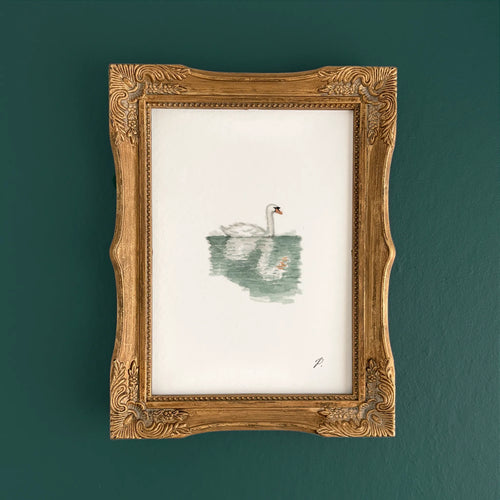 "Swan (Prospect Park)" – 5 x 7" Fine Art Print