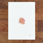 Art fairy magic illustration on a blank white page with a pink flower near the bottom edge