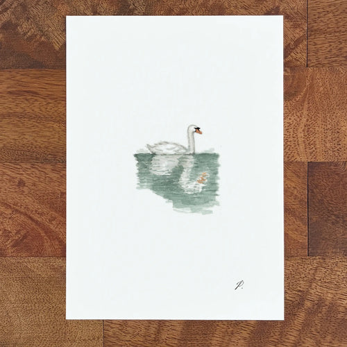 Art of a fairy swan in a watercolor pond, with soft green ripples and a small magical splash