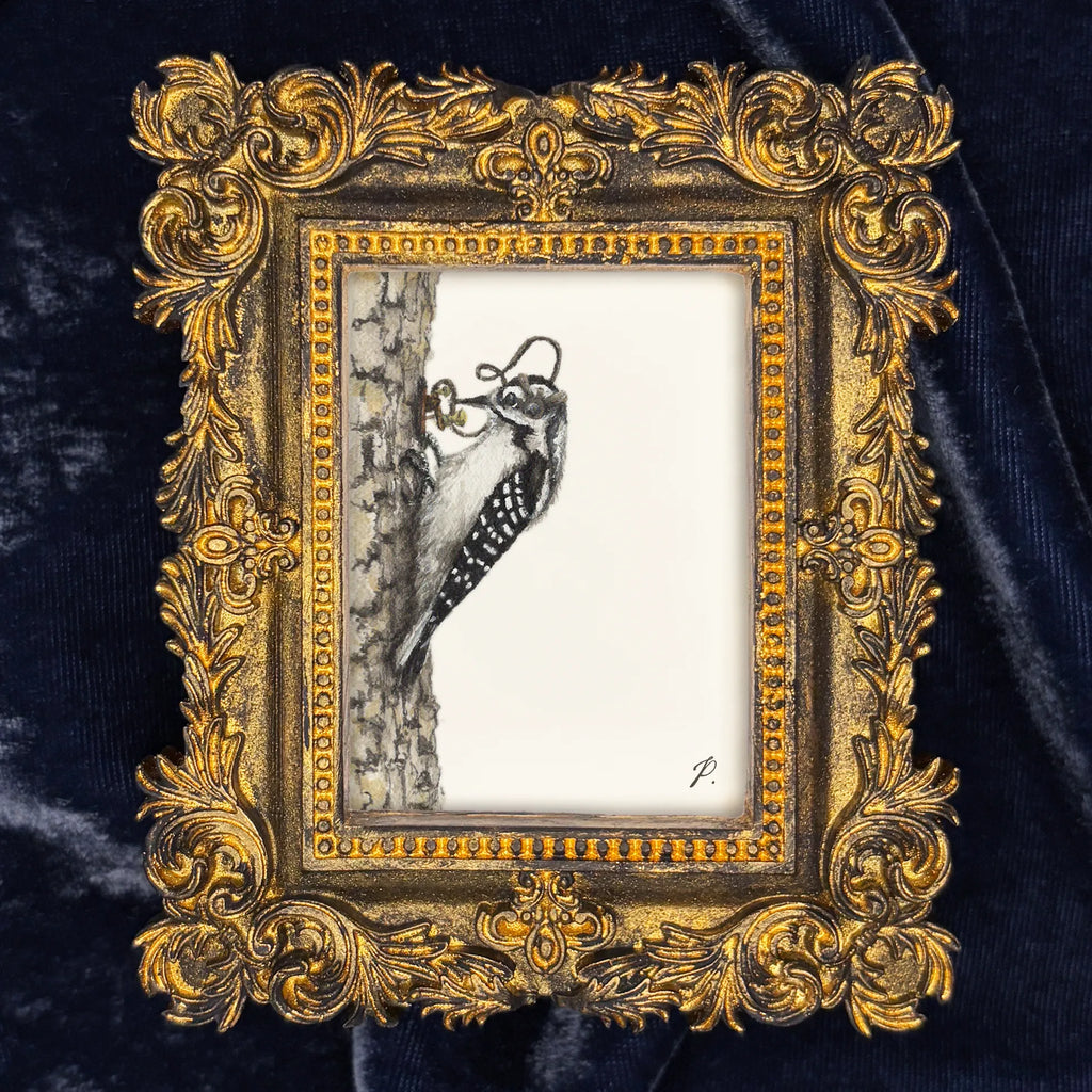 An ornate gold baroque-style picture frame containing a black and white sketch of a woodpecker on a tree trunk, set against a dark navy blue velvet fabric background.