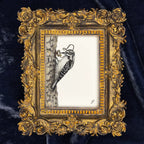 An ornate gold baroque-style picture frame containing a black and white sketch of a woodpecker on a tree trunk, set against a dark navy blue velvet fabric background.