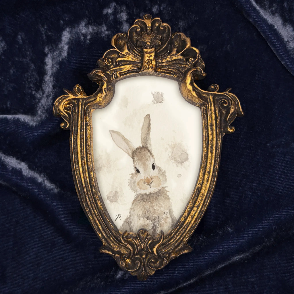 "Dust Bunny" – Framed Masterpiece