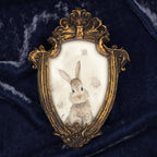 "Dust Bunny" – Framed Masterpiece