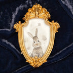 "Dust Bunny" – Framed Masterpiece