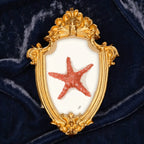 "Zesty (Orange)" – Framed Masterpiece